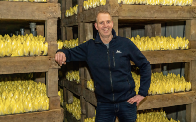 Mts. G.J.M. de Wit en C.M.M. de Wit-Hauwert