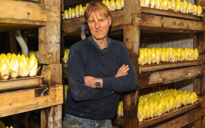 Horti Hydro Cultures B.V.