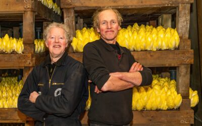 Firma N. Sijm en Zn. uit Andijk