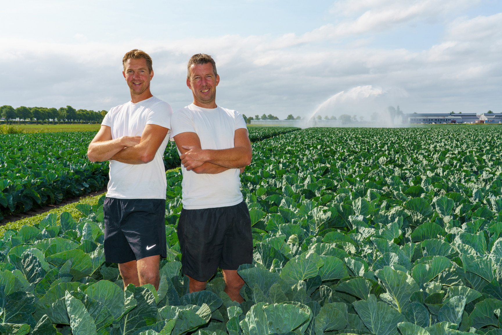 Bloemkoolkwekers WEB-10