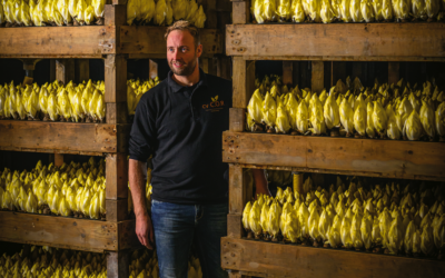 C.V. Collectieve Onderneming Ruiter