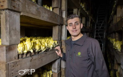 Handelskwekerij van Rossum